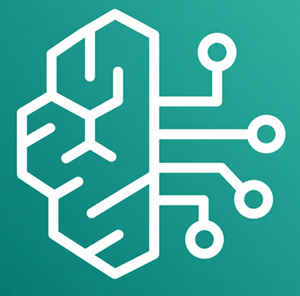 Advanced Cyber Security Training